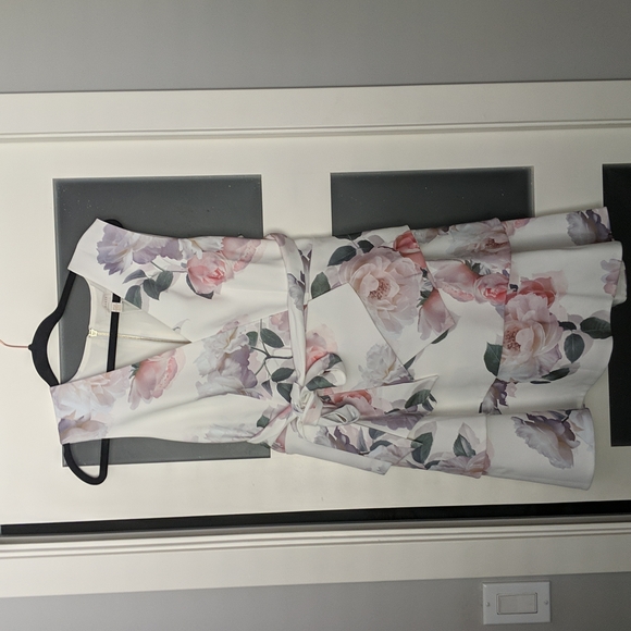 NWT Ted baker Size 4 Dress - Picture 3 of 7